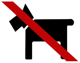Vida de perros
